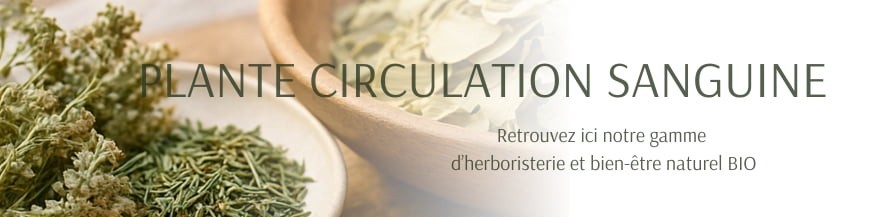 Plante circulation sanguine Plante circulation sanguine