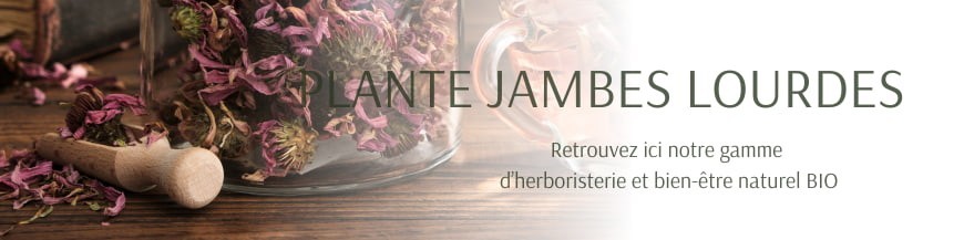 Plante jambes lourdes Plante jambes lourdes