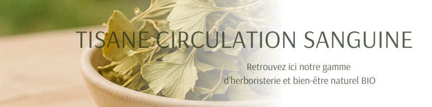 Tisane circulation sanguine