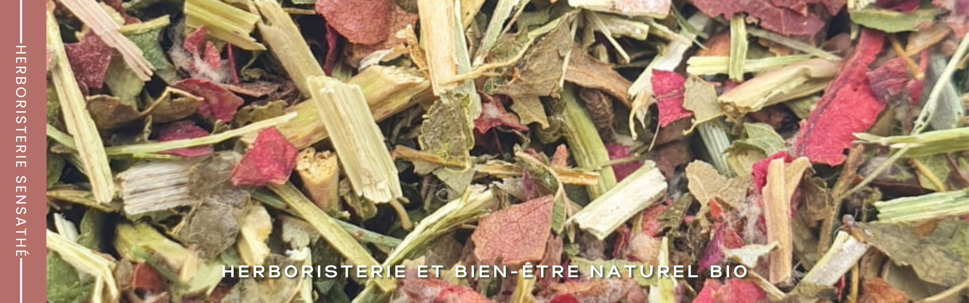Tisane diurétique puissante et efficace bio - Herboristerie Sensathé Tisane diurétique puissante et efficace bio - Herboristerie Sensathé