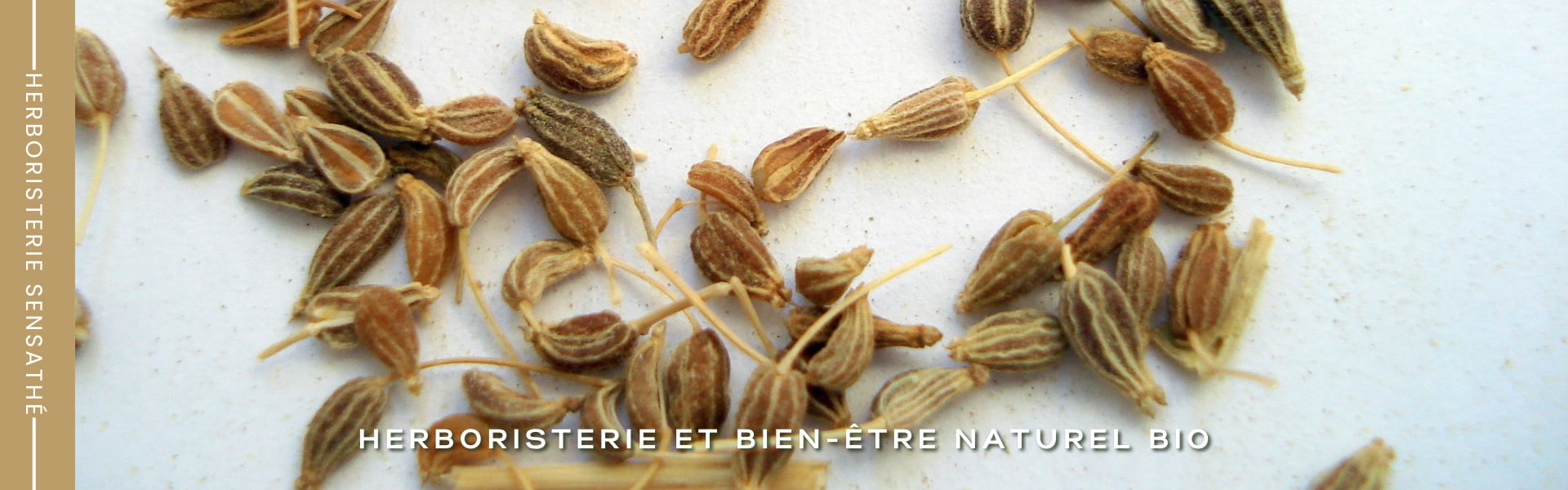 Antispasmodique naturel - Herboristerie Sensathé