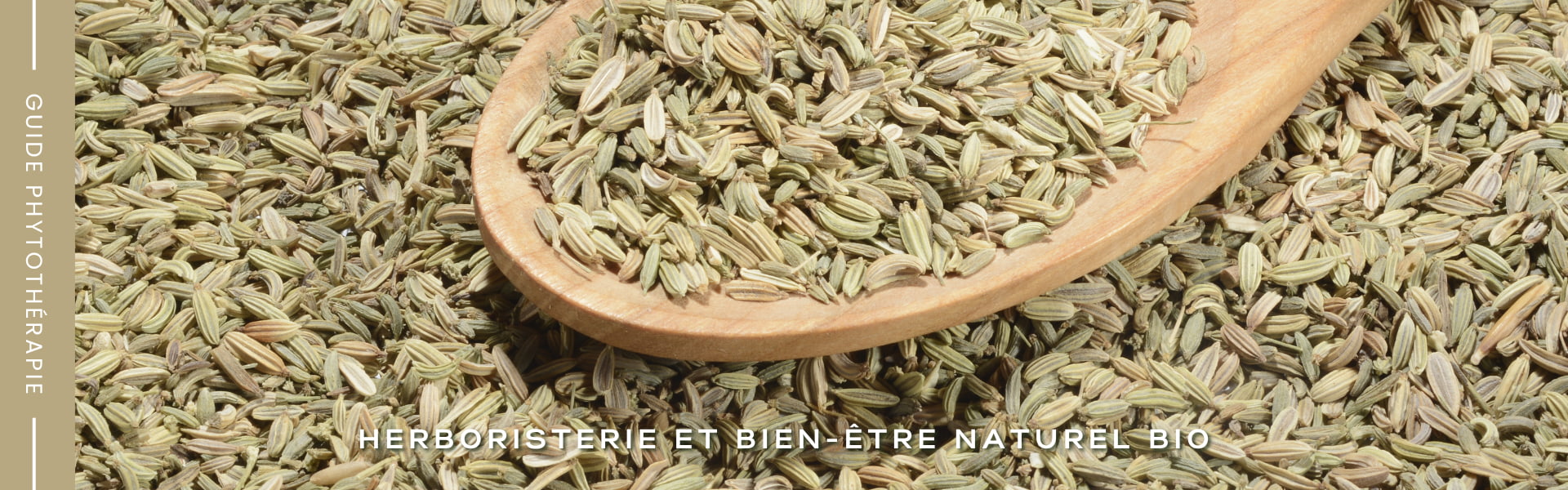 Plante antispasmodique naturelle - Herboristerie Sensathé