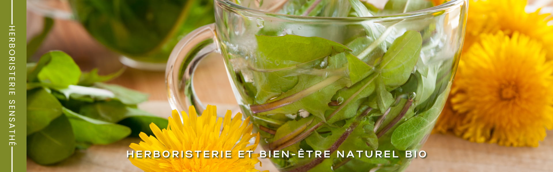 Plante diurétique et drainante BIO - Herboristerie Sensathé