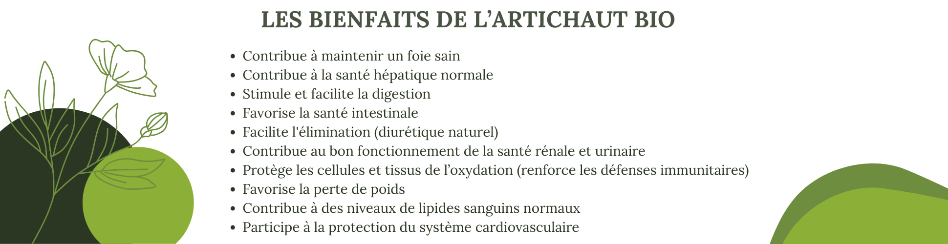 Les bienfaits de l'artichaut