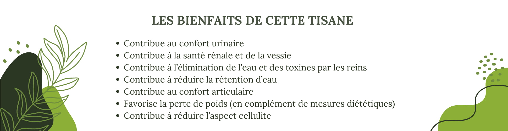 Les bienfaits de la tisane diurétique N°3 BIO confort urinaire