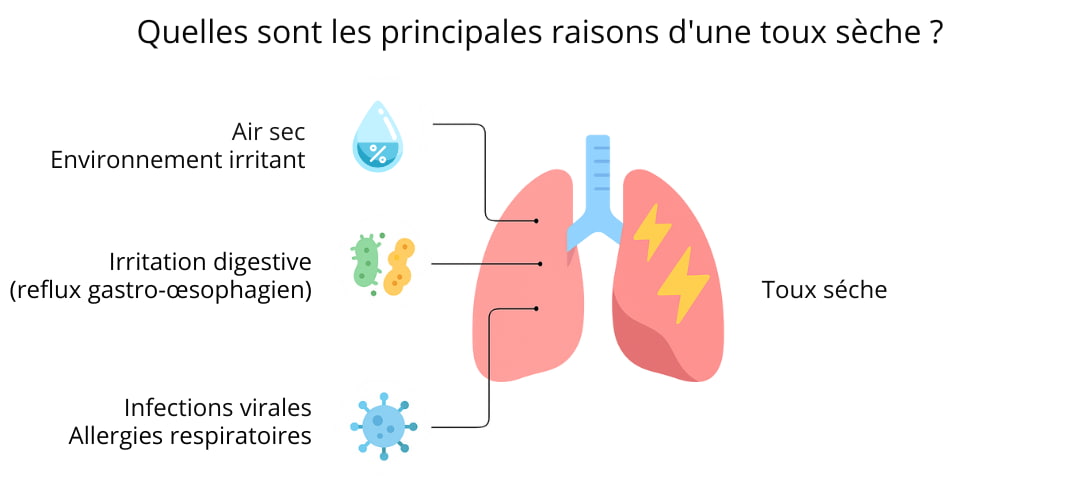 Schéma des principales causes de toux sèche | Herboristerie Sensathé