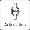 Articulations