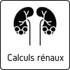 Calculs rénaux