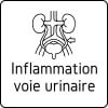 Inflammation des voies urinaires