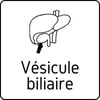 Logo vésicule biliare