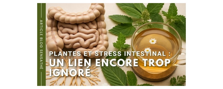 Plantes et stress intestinal : un lien encore trop ignoré