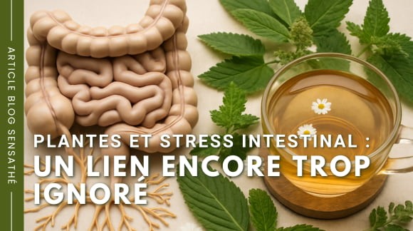 Plantes et stress intestinal : un lien encore trop ignoré