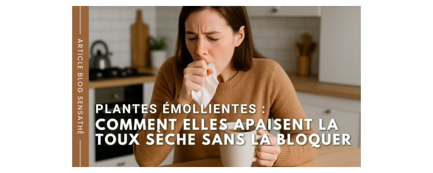 Plantes émollientes : comment elles apaisent la toux sèche sans la bloquer