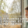 Calendrier des pollens en avril : quelles plantes libèrent leurs pollens et comment anticiper les pics