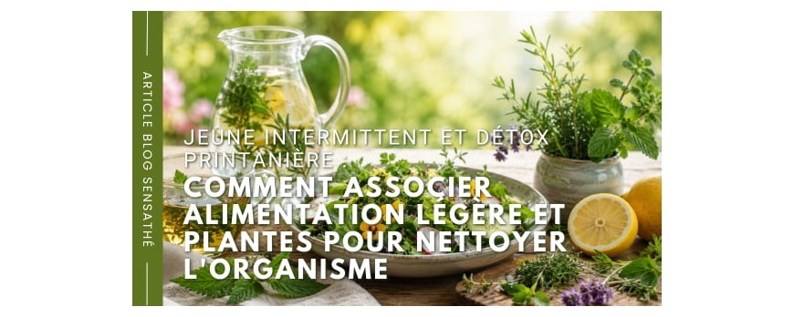 Jeûne intermittent et détox printanière : comment associer alimentation légère et plantes pour nettoyer l'organisme