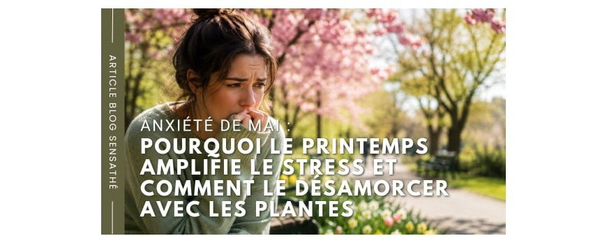 Anxiété de mai : pourquoi le printemps amplifie le stress et comment le désamorcer avec les plantes