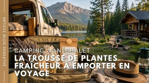 Camping, van, chalet : la trousse de plantes fra&icirc;cheur &agrave; emporter en voyage