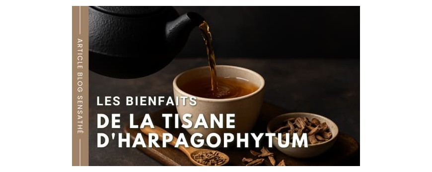 Les bienfaits de la tisane d'harpagophytum