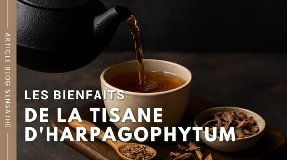Les bienfaits de la tisane d'harpagophytum