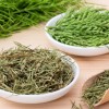 La prêle : Une plante médicinale diurétique à consommer en tisane