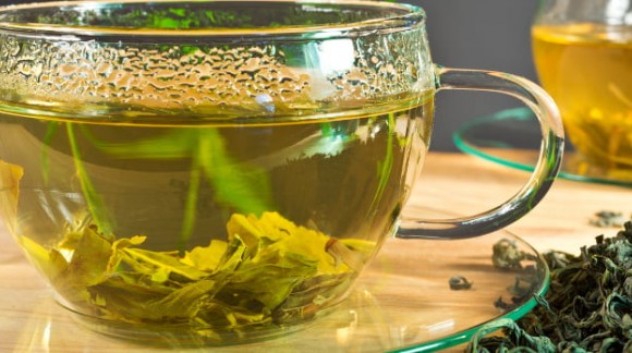Comment préparer une infusion de thé vert ? 