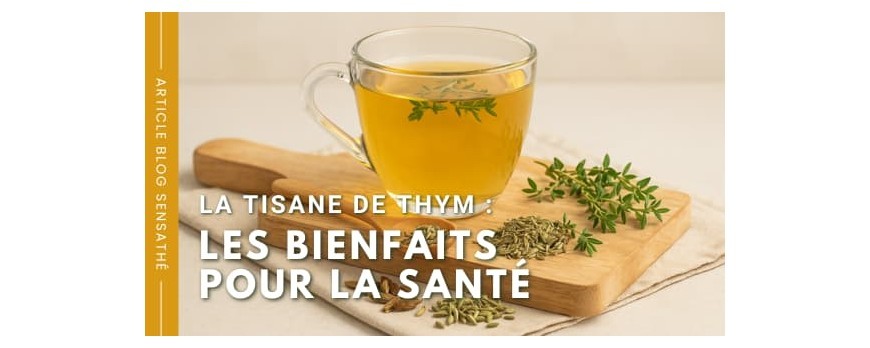 La tisane de thym : les bienfaits pour la santé