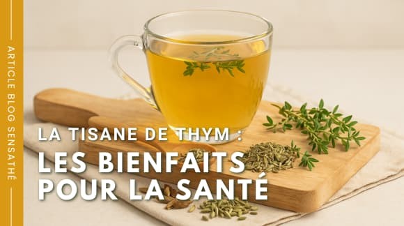 La tisane de thym : les bienfaits pour la santé