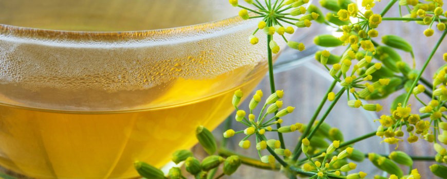 Recette tisane fenouil allaitement maternel, remède naturel - herboristerie  Bio en ligne - Blog - Blog de Sensathé - Herboristerie - Phytothérapie