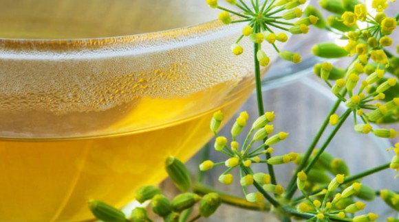 Recette de tisane fenouil pour allaitement maternel