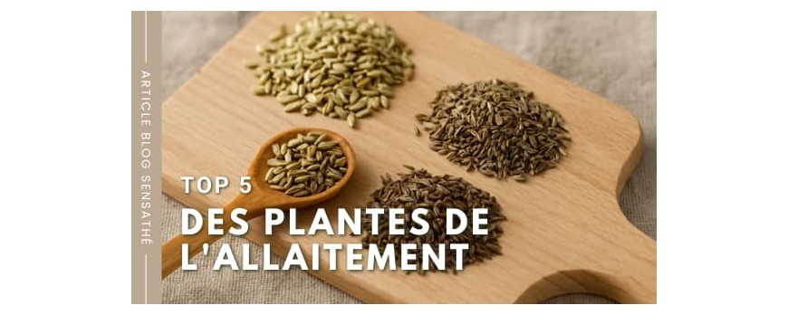 Top 5 des plantes de l'allaitement