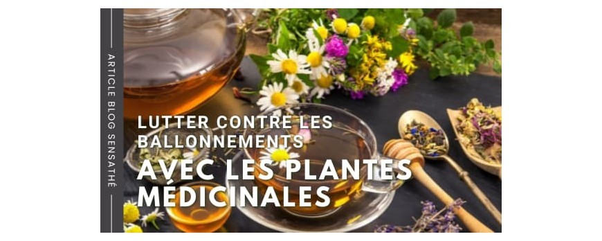 Lutter contre les ballonnements avec les plantes médicinales