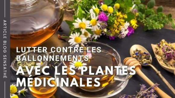 Lutter contre les ballonnements avec les plantes médicinales
