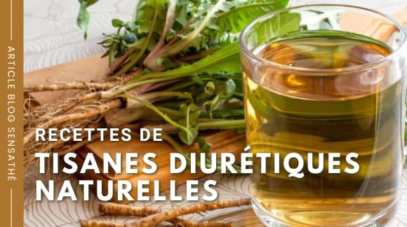 Recettes de tisanes diurétiques naturelles