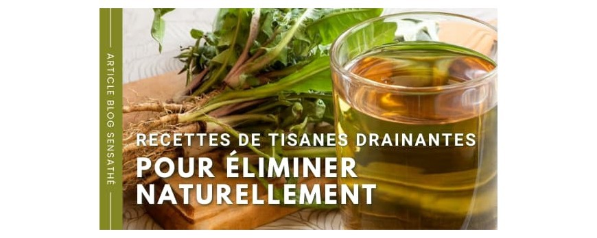 Recettes de tisanes drainantes pour éliminer naturellement