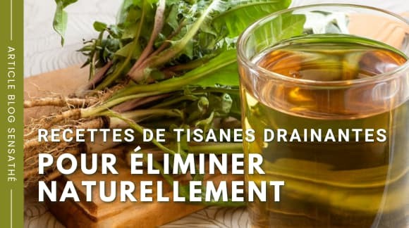 Recettes de tisanes drainantes pour éliminer naturellement