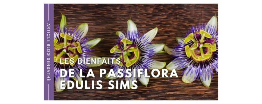 Les bienfaits de la Passiflora edulis sims