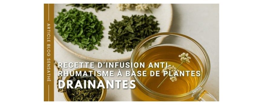 Infusion anti-rhumatismale : la recette à base de plantes drainantes