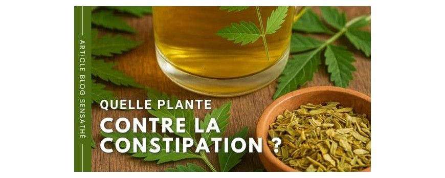 Quelle plante contre la constipation ?