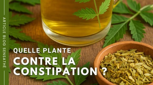 Quelle plante contre la constipation ?