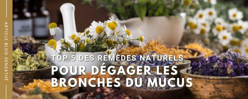 Top 5 des remèdes naturels pour dégager les bronches du mucus