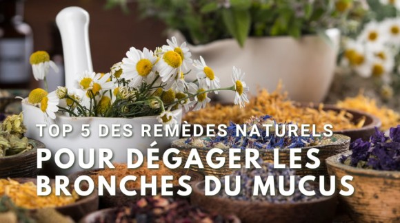 Top 5 des remèdes naturels pour dégager les bronches du mucus