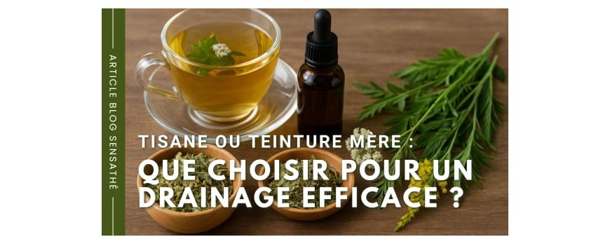 Tisane ou teinture mère : que choisir pour un drainage efficace ?