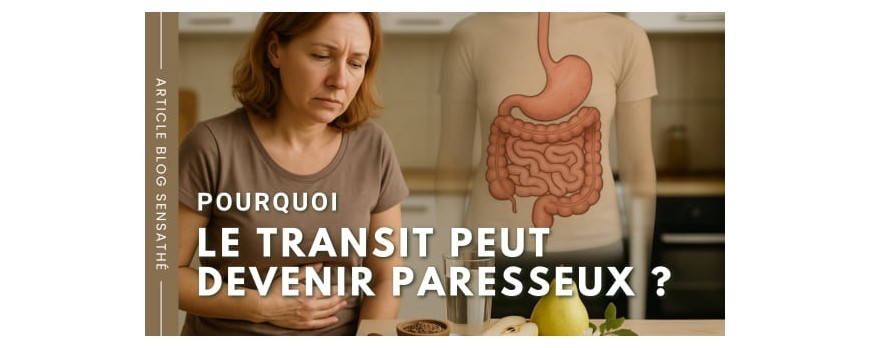 Pourquoi le transit peut devenir paresseux (et comment le relancer naturellement)