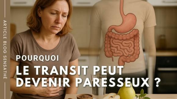 Pourquoi le transit peut devenir paresseux (et comment le relancer naturellement)