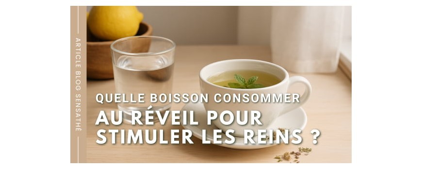 Quelle boisson consommer au réveil pour stimuler les reins ?