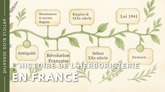 L’histoire de l’herboristerie en France